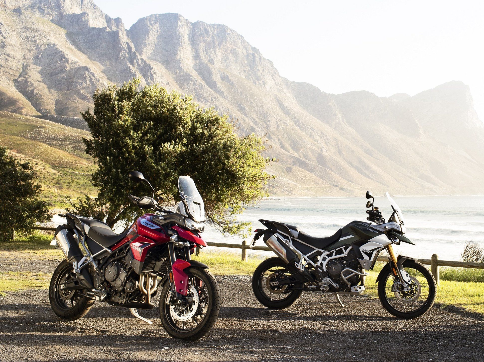 Triumph tiger| Triumph Tiger 900 GT vs Tiger 900 Rally range: Design, features, price, specs, etc. compared